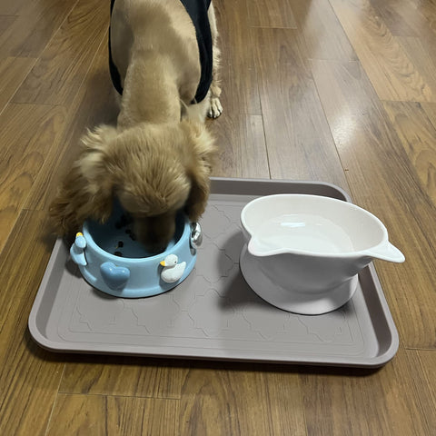 WATANIYA PET bandeja colocada en el maletero protegiendo contra barro y derrames