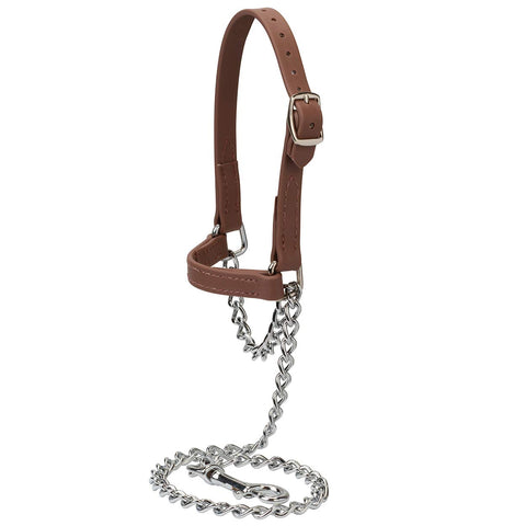 Weaver Livestock halter frontal marrón mostrando ajuste y estilo para mejor control