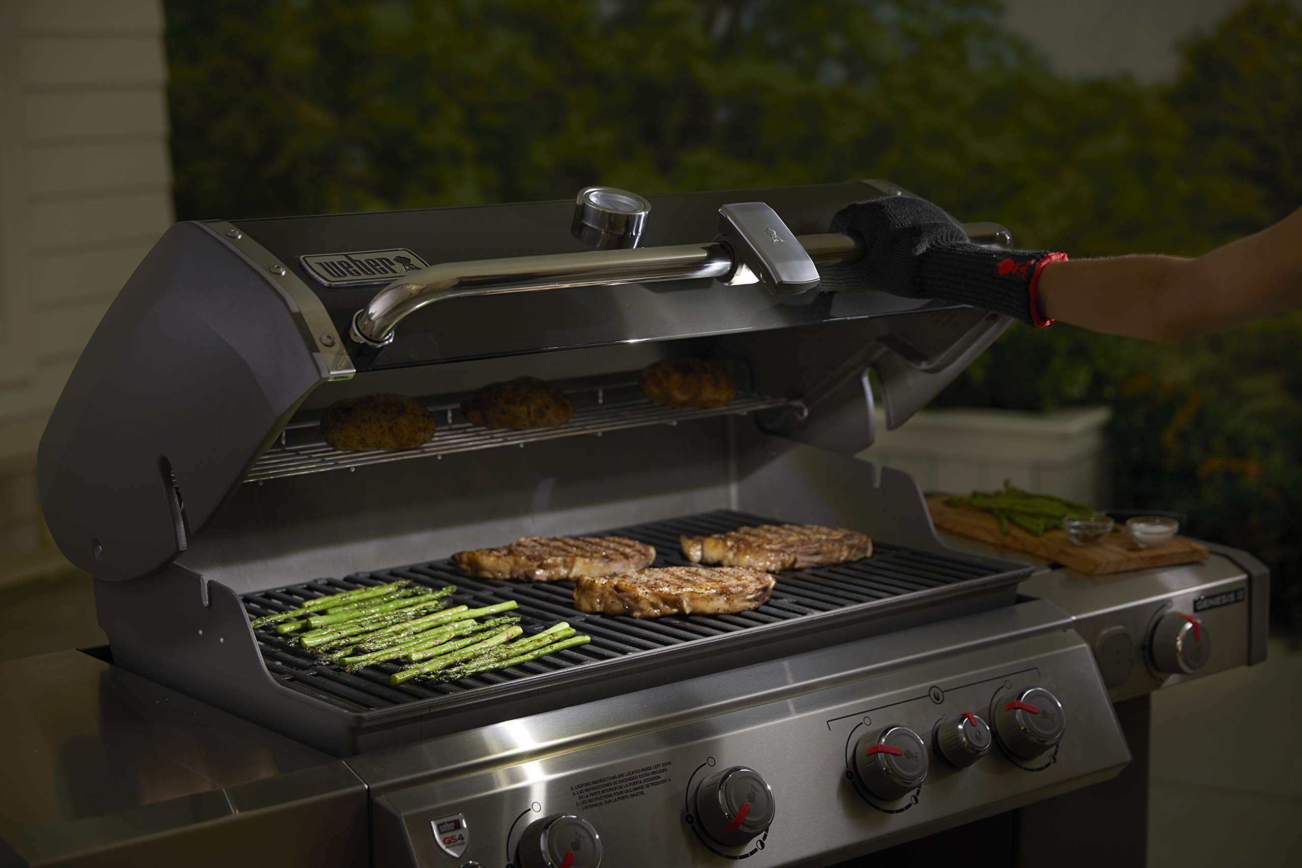 Weber vista lateral del material resistente ideal para exteriores