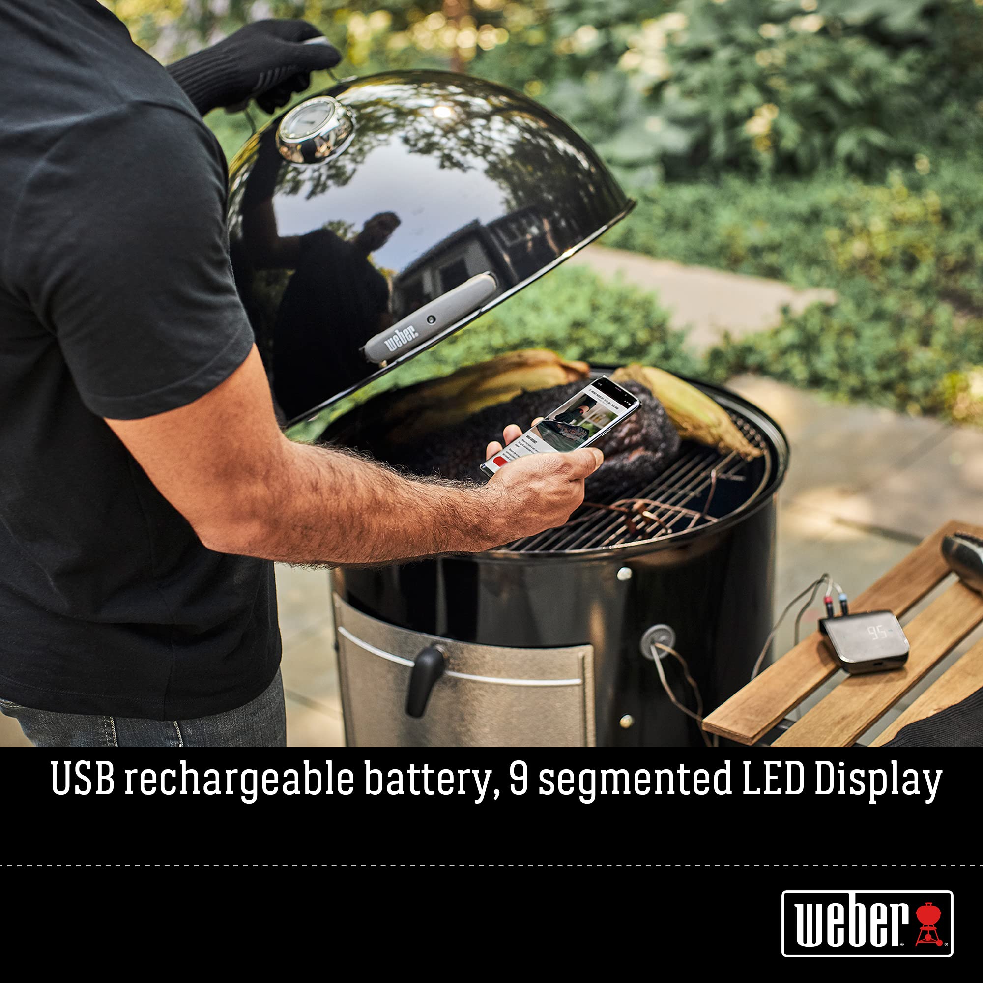 Weber pantalla digital mostrando temperatura en Celsius y Fahrenheit