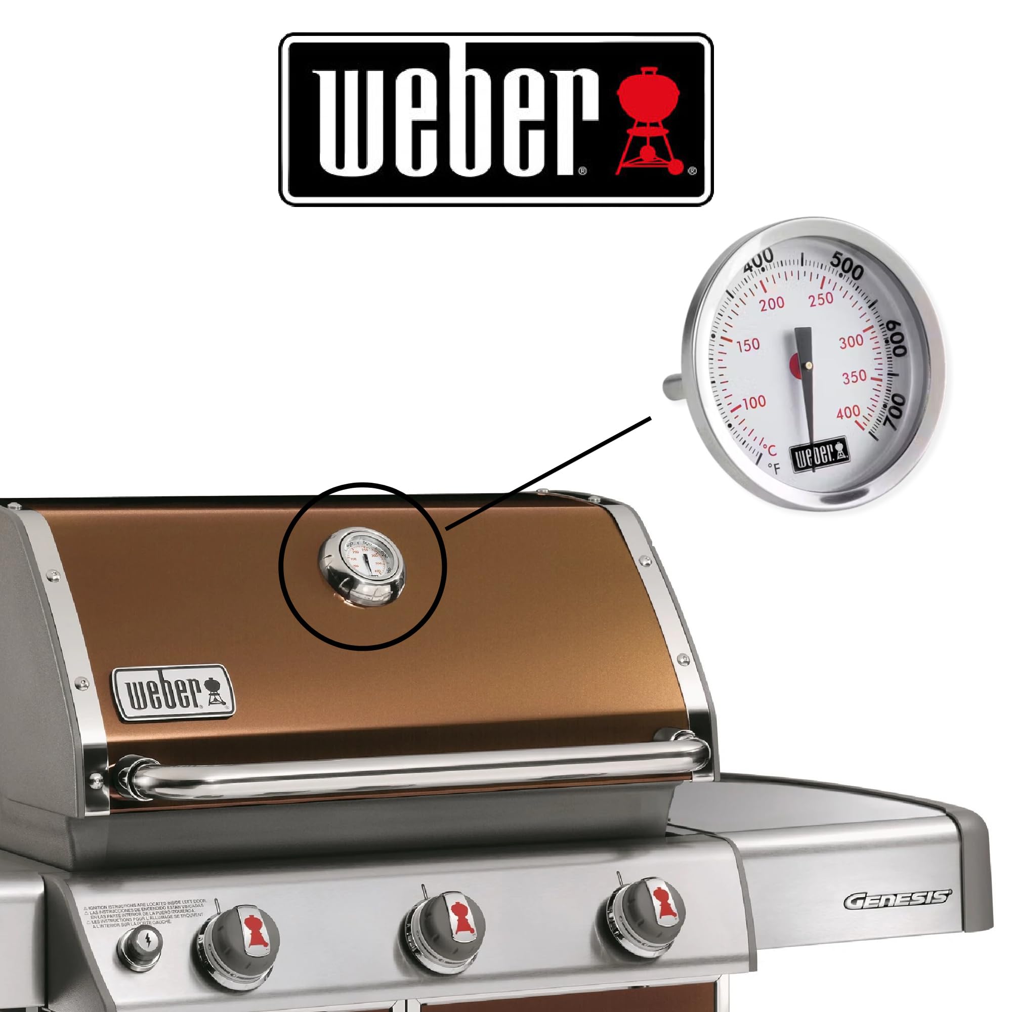 Weber detalle de la lengüeta trasera que asegura el termómetro en el bisel