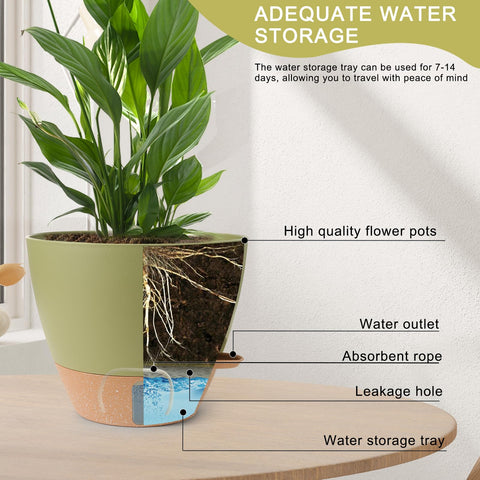 WEICHENGXING maceta 12" con planta, gran capacidad y presencia decorativa