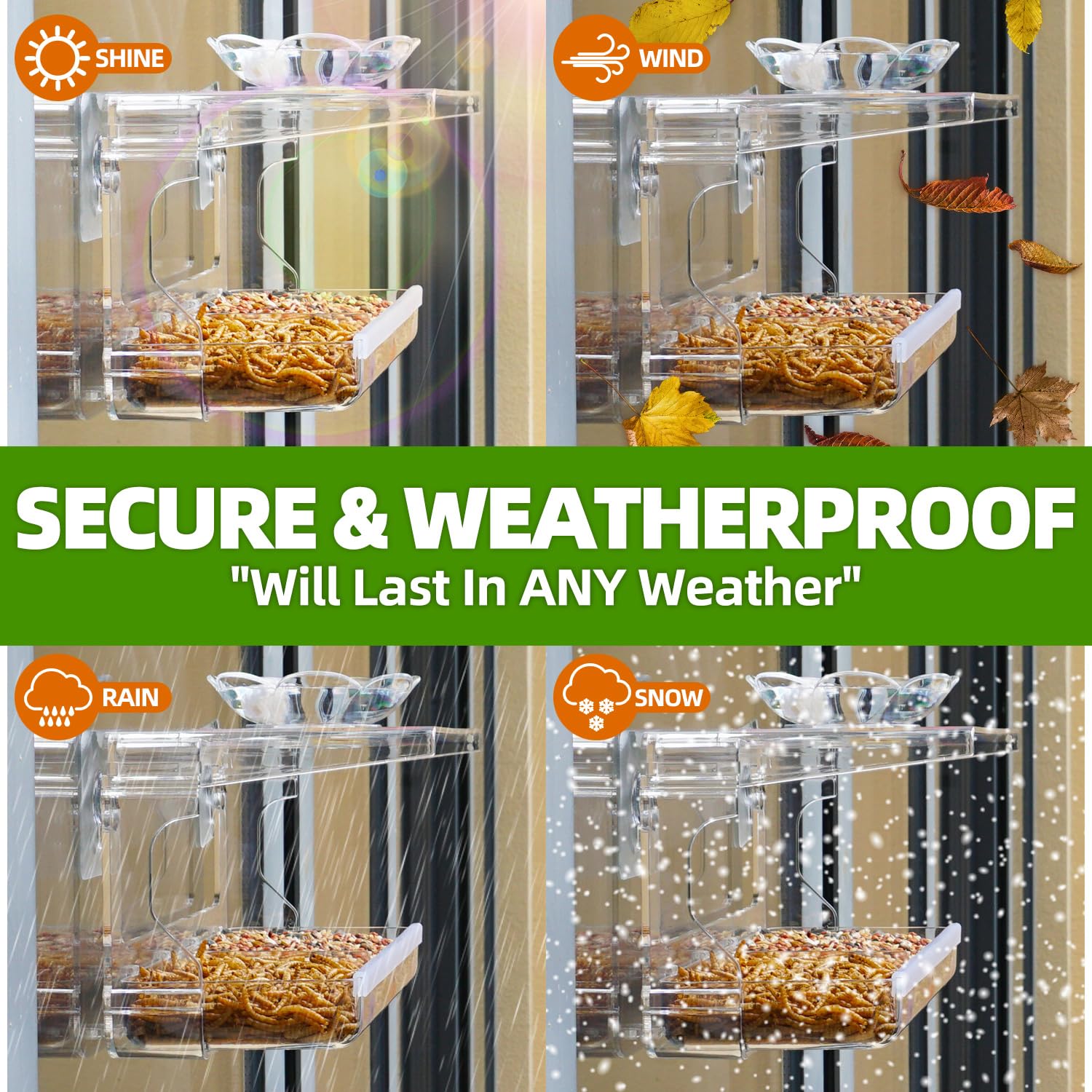 WENMIXER comedero colocado en ventana con ave disfrutando alimento