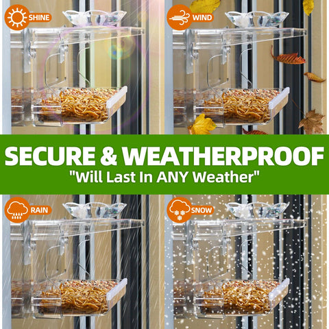 WENMIXER comedero colocado en ventana con ave disfrutando alimento