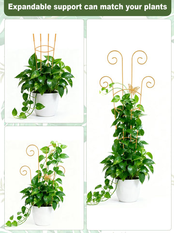 Whtawtaw trellis en ambiente interior aportando soporte y estilo dorado