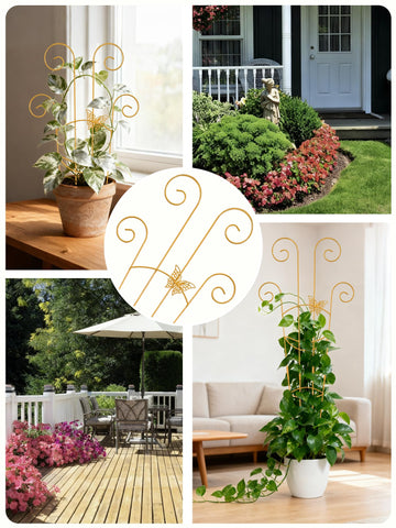 Whtawtaw pack de cuatro trellises en una jardinera demostrando cobertura