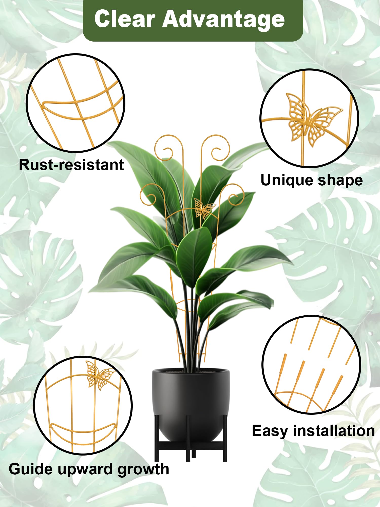 Whtawtaw trellis en uso con Monstera guiando crecimiento verticalmente