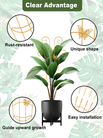 Whtawtaw trellis en uso con Monstera guiando crecimiento verticalmente