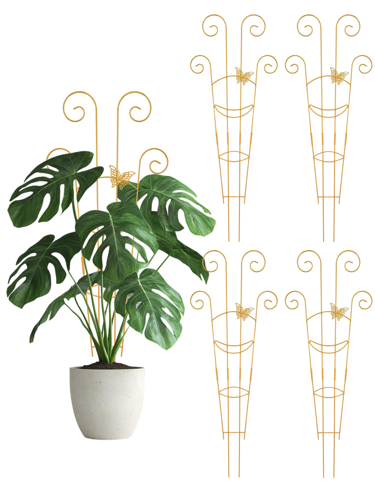 Whtawtaw trellis mariposa frontal mostrando diseño y soporte decorativo
