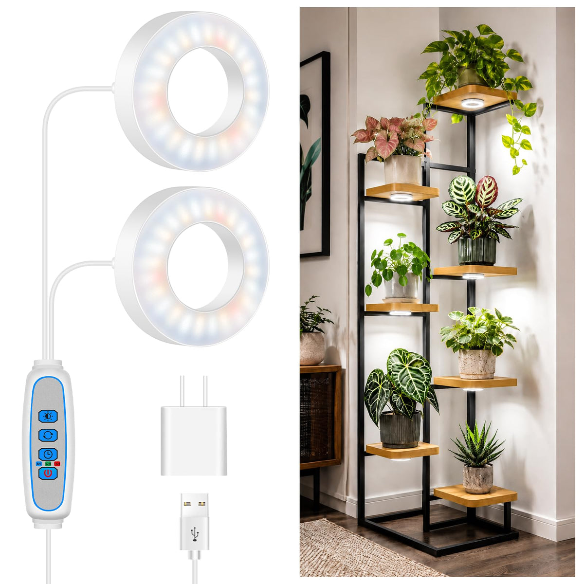 Wiaxulay vista frontal del panel LED con montaje compacto y eficiente