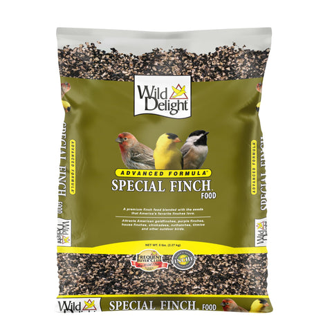Wild Delight primer plano de nyjer de calidad que atrae pinzones fácilmente