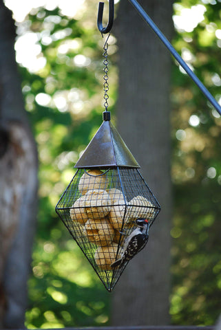 Wildlife Sciences bolas de sebo en jardín con aves, ideal para atraer pájaros silvestres