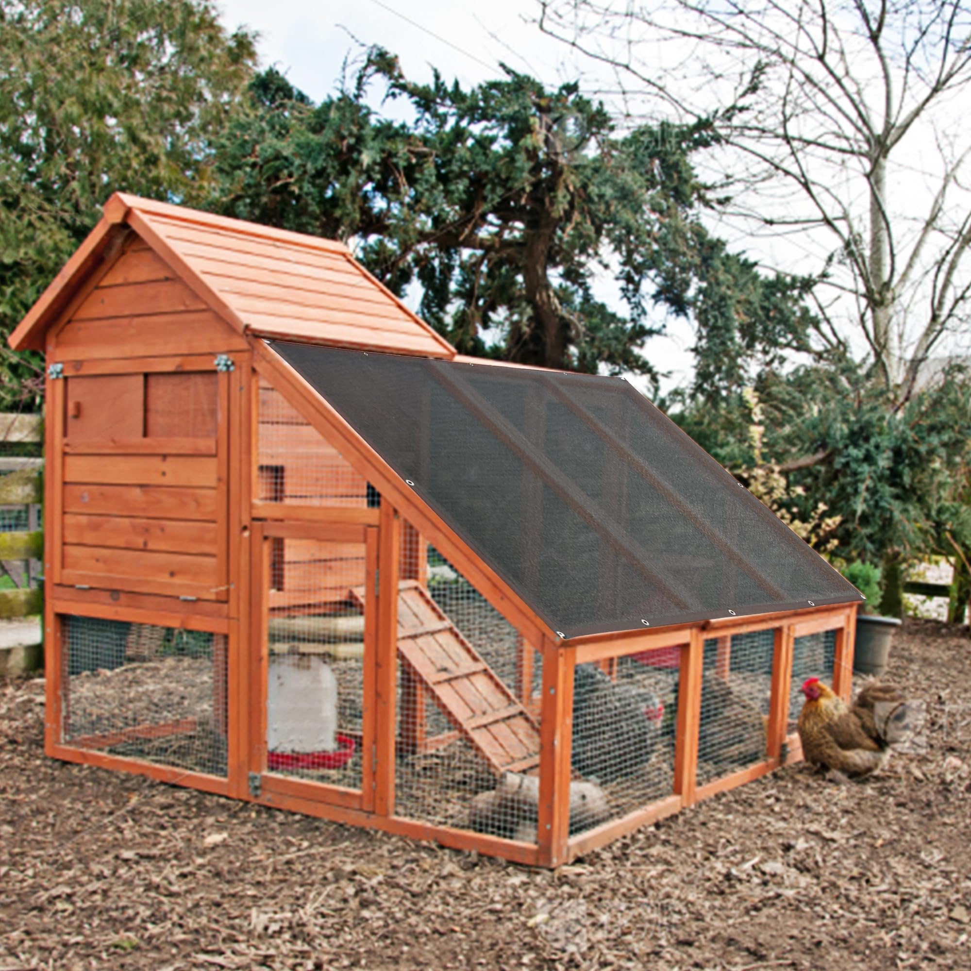 winemana comparación de tamaño 3.3x6.6 ft para referencia