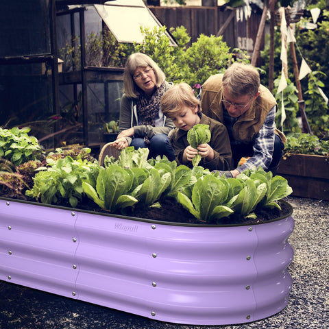 Winpull cama elevada en uso con verduras mostrando cultivo eficiente