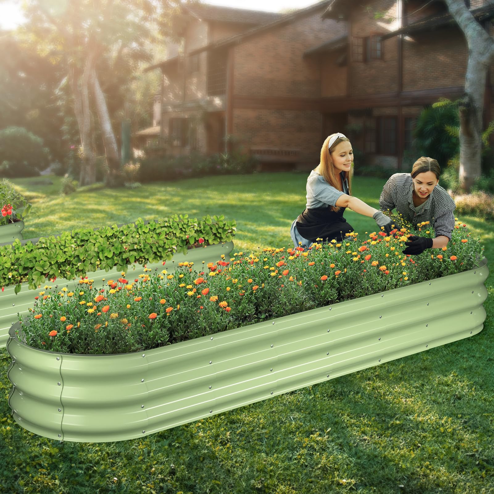 Winpull comparación de tamaño 8x2x1 ft para planificar espacio de cultivo