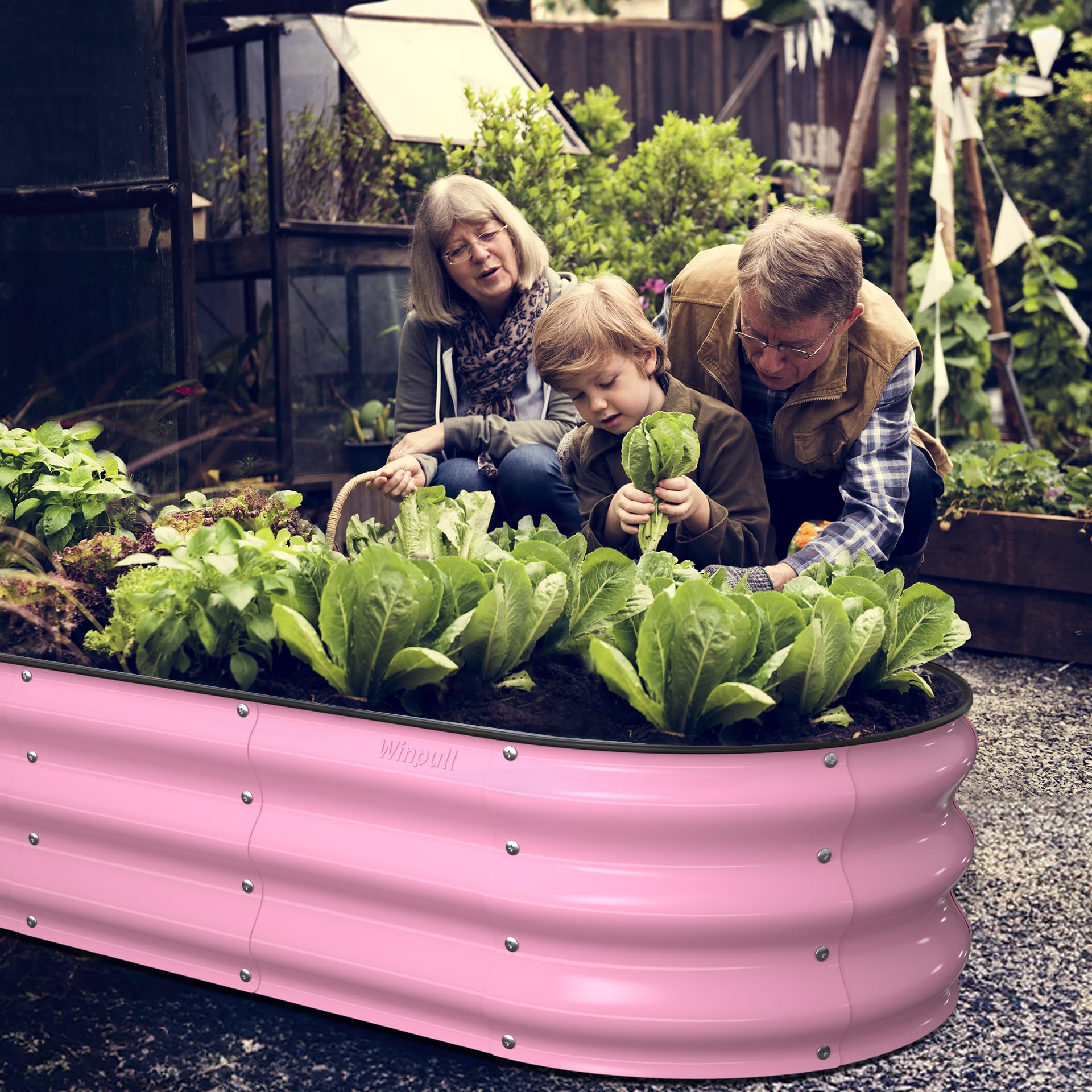 Winpull jardinera en uso con verduras, optimiza el cultivo urbano