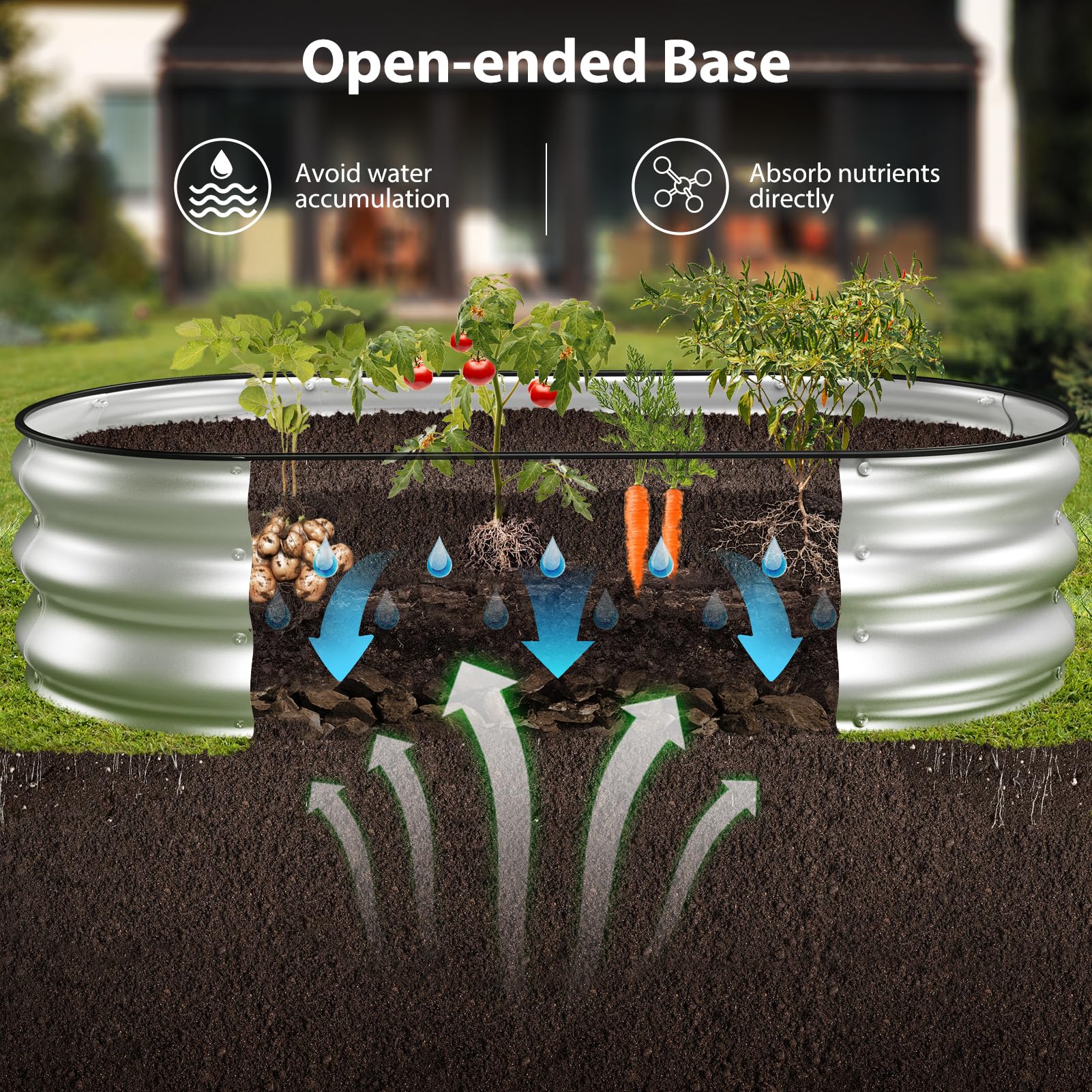 Winpull jardinera plantada con hortalizas mostrando productividad