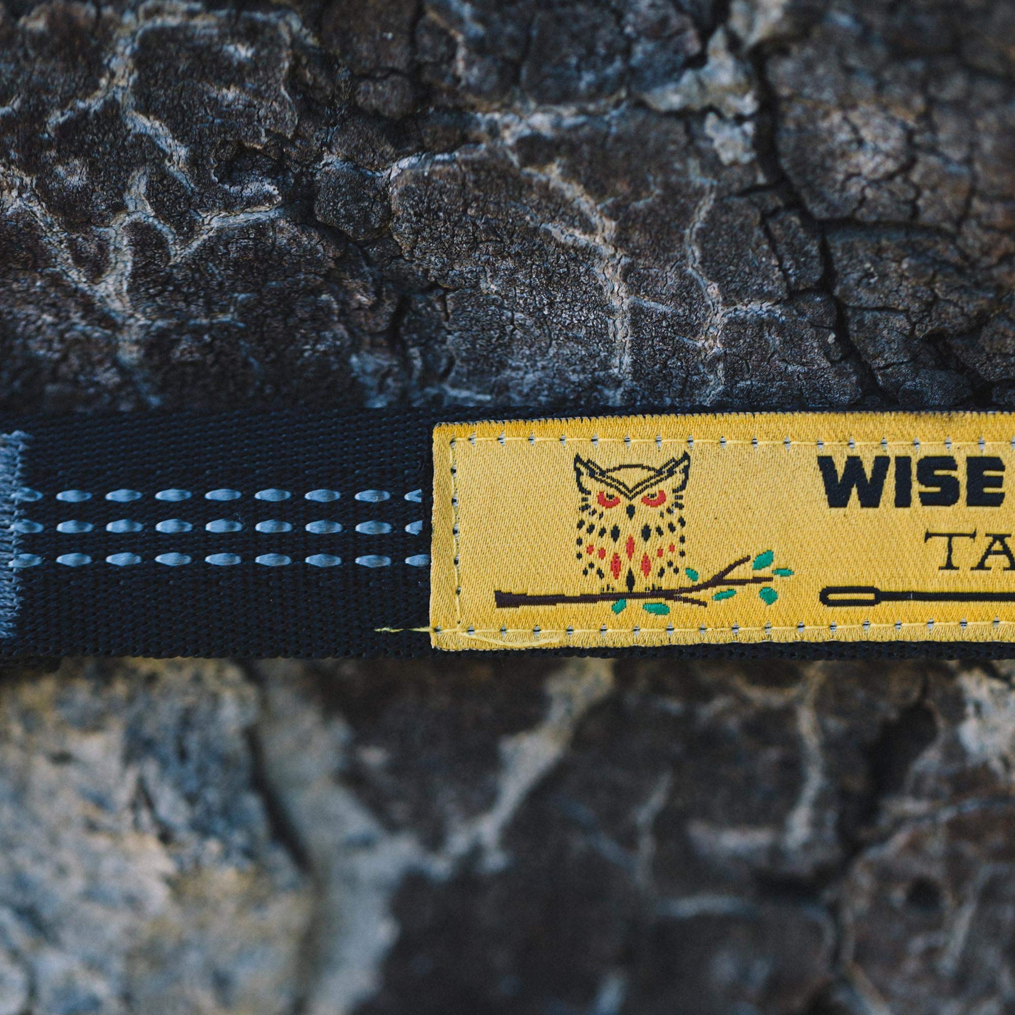 Wise Owl Outfitters correa alrededor de tronco cuidando la corteza del árbol