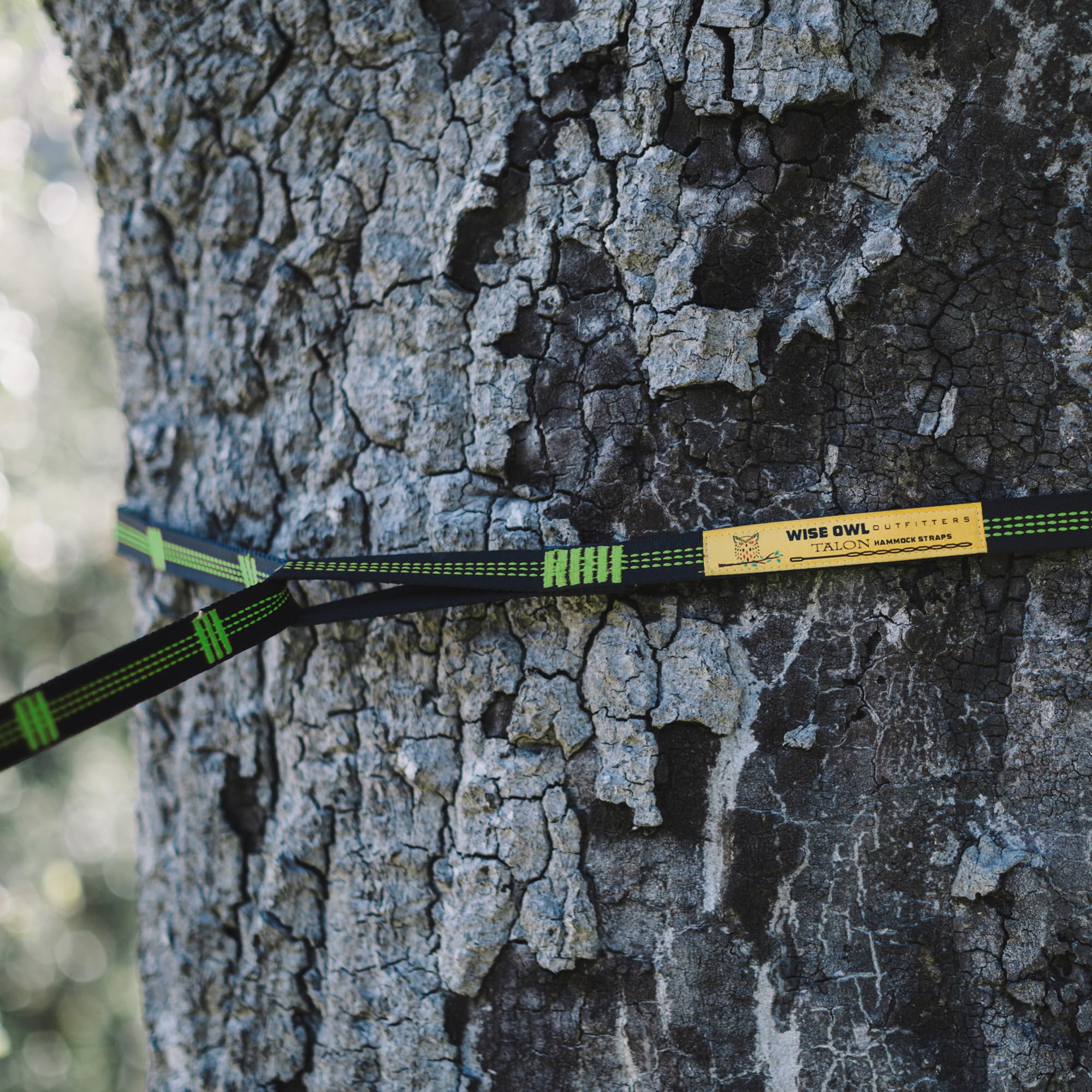 Wise Owl Outfitters correas envueltas en árbol mostrando montaje rápido
