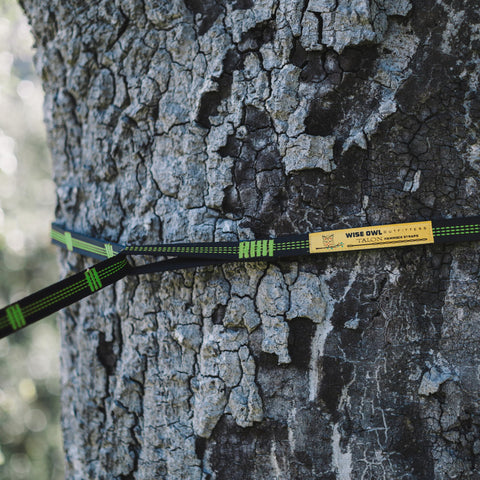Wise Owl Outfitters correas envueltas en árbol mostrando montaje rápido
