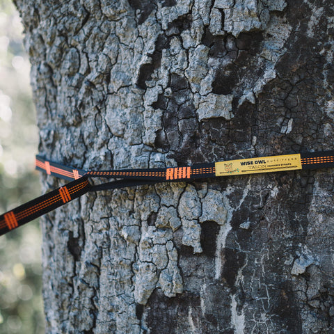 Wise Owl Outfitters correas en uso montando hamaca durante camping