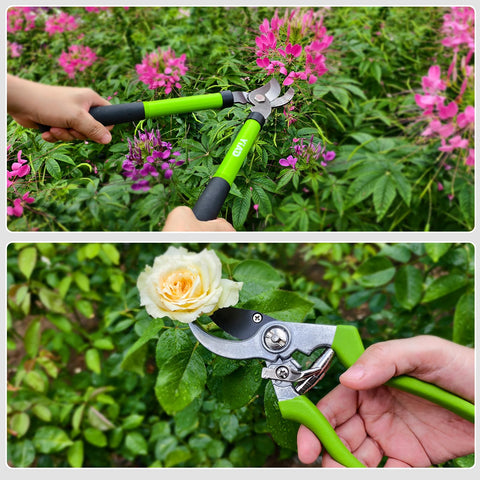 wiselifetech conjunto colocado en jardín junto a herramientas, apariencia profesional