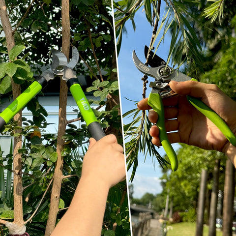 wiselifetech acabado Teflón en hoja mostrando repelencia a la savia, menos mantenimiento