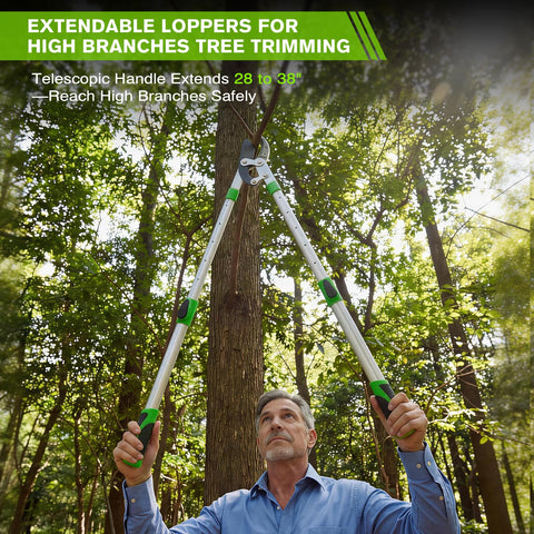 wiselifetech uso en jardín podando árbol y seto en entorno doméstico