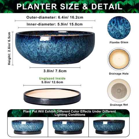 Wliror detalle del esmalte azul muestra acabado decorativo y duradero