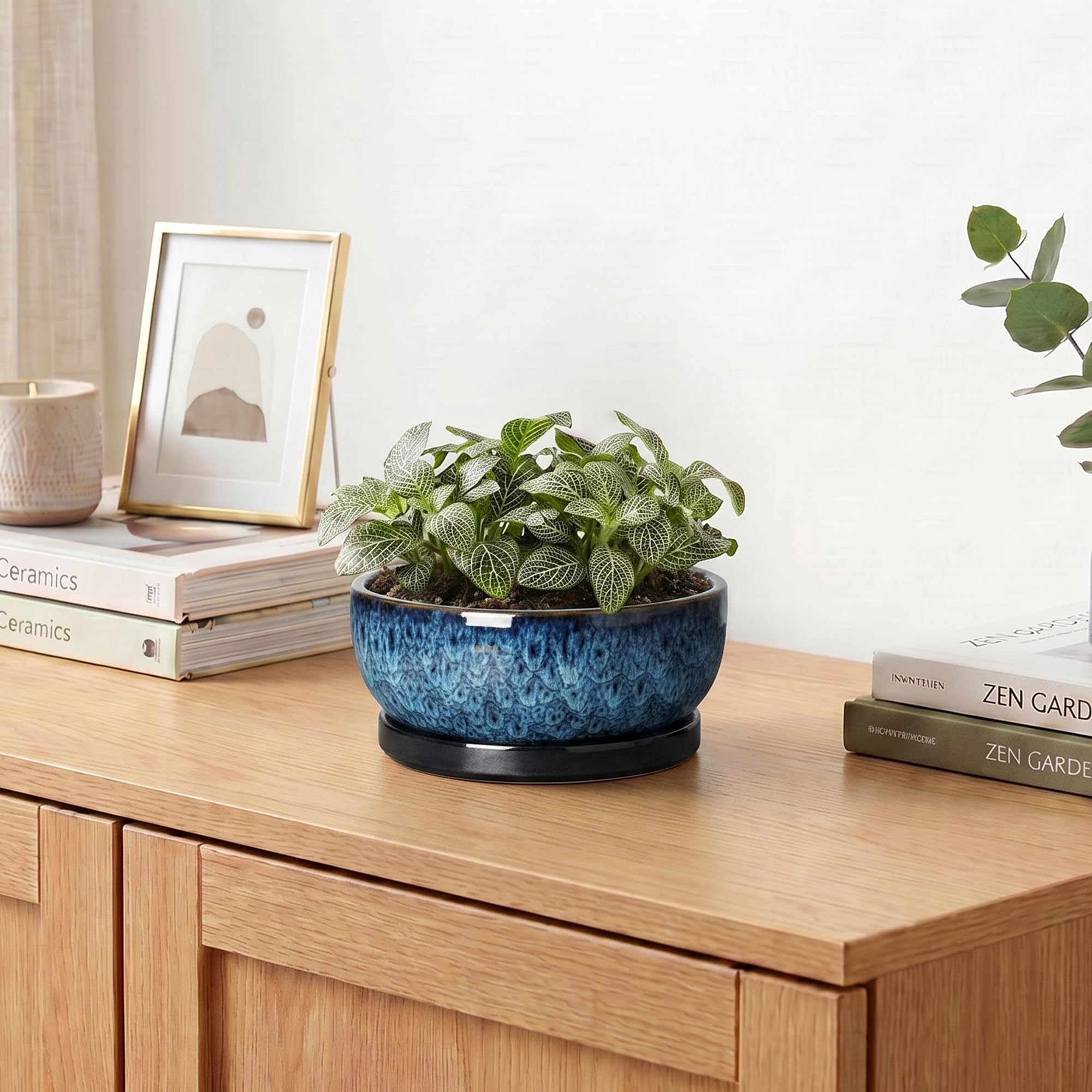 Wliror maceta en escritorio crea ambiente decorativo y optimiza espacio