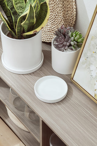Woiida plato cerámica ambientación interior protegiendo superficie elegante