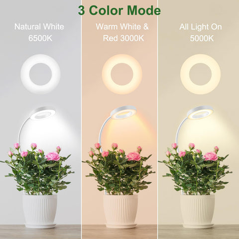 wolezek cuello flexible 360° que facilita orientar la luz correctamente