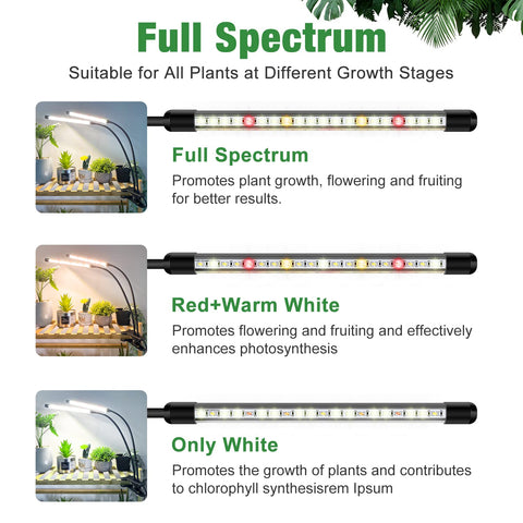 wolezek primer plano de leds rojos y blancos que muestran espectro completo beneficios
