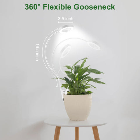 wolezek luz instalada en maceta de cocina favoreciendo hierbas y brotes