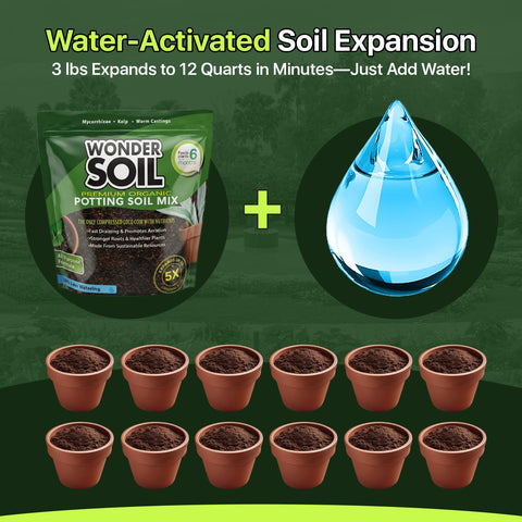 Wonder Soil en maceta interior facilita trasplantes y crecimiento