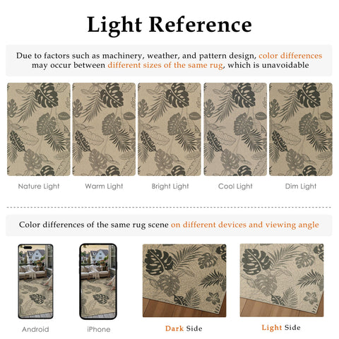WondRg comparativa tamaño junto a persona para visualizar escala práctica