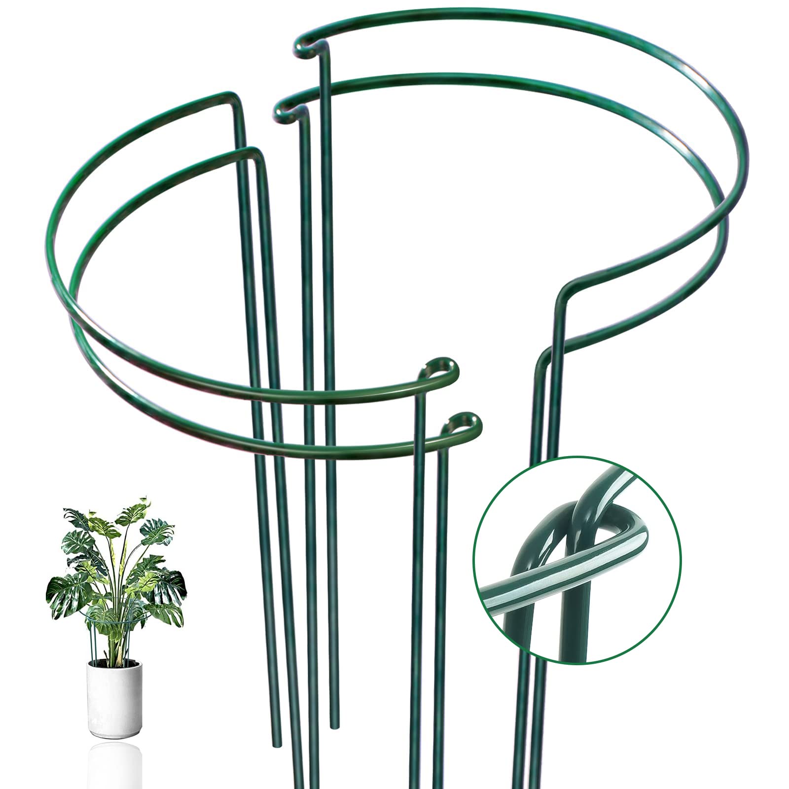 WooWellGoGoGo jaula para hortensia proporcionando soporte estable