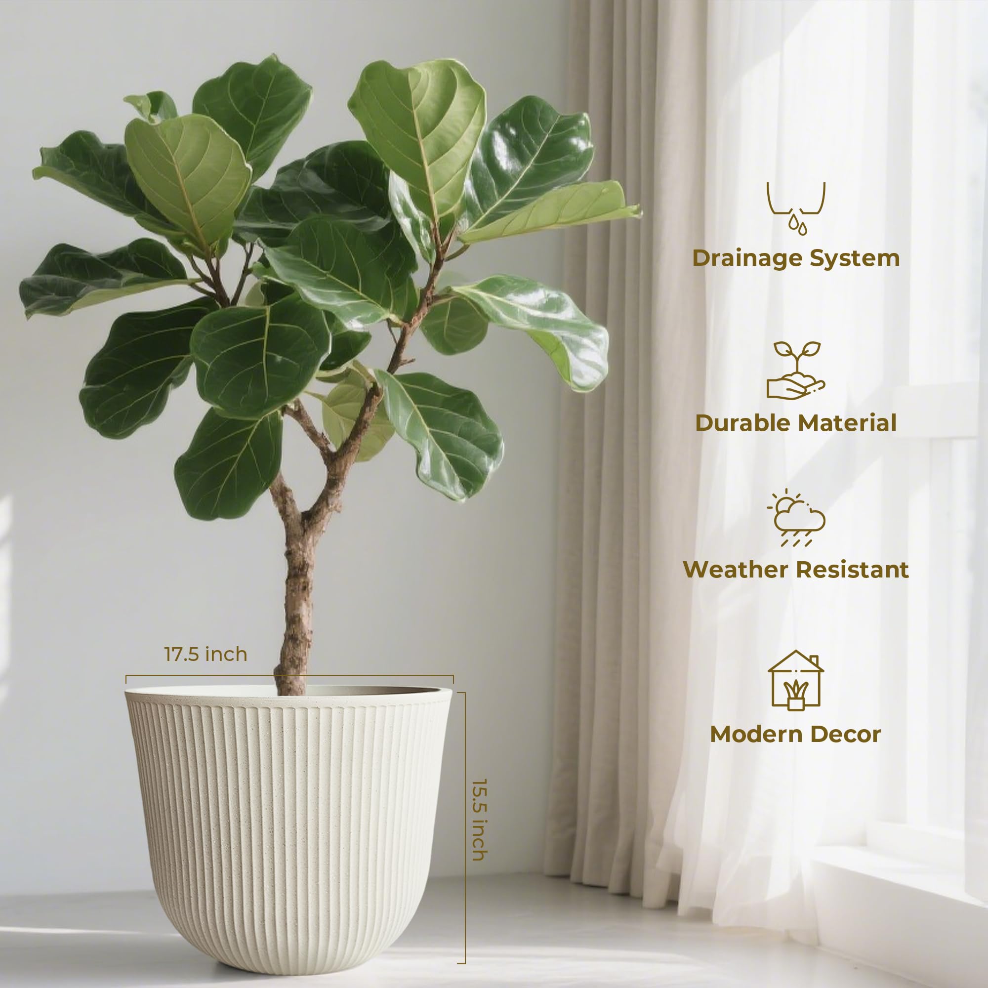 Worth comparación de tamaño junto a silla para referencia de escala