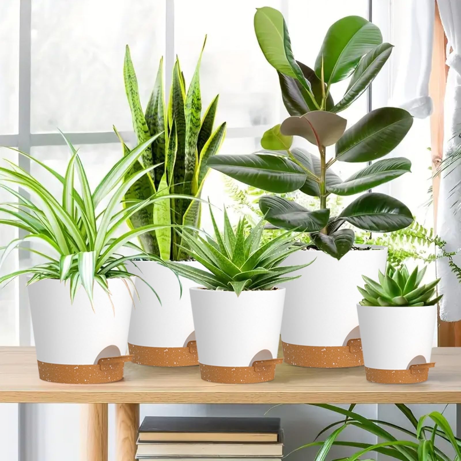 WSMKSZ ambiente de salón con macetas como decoración práctica y elegante