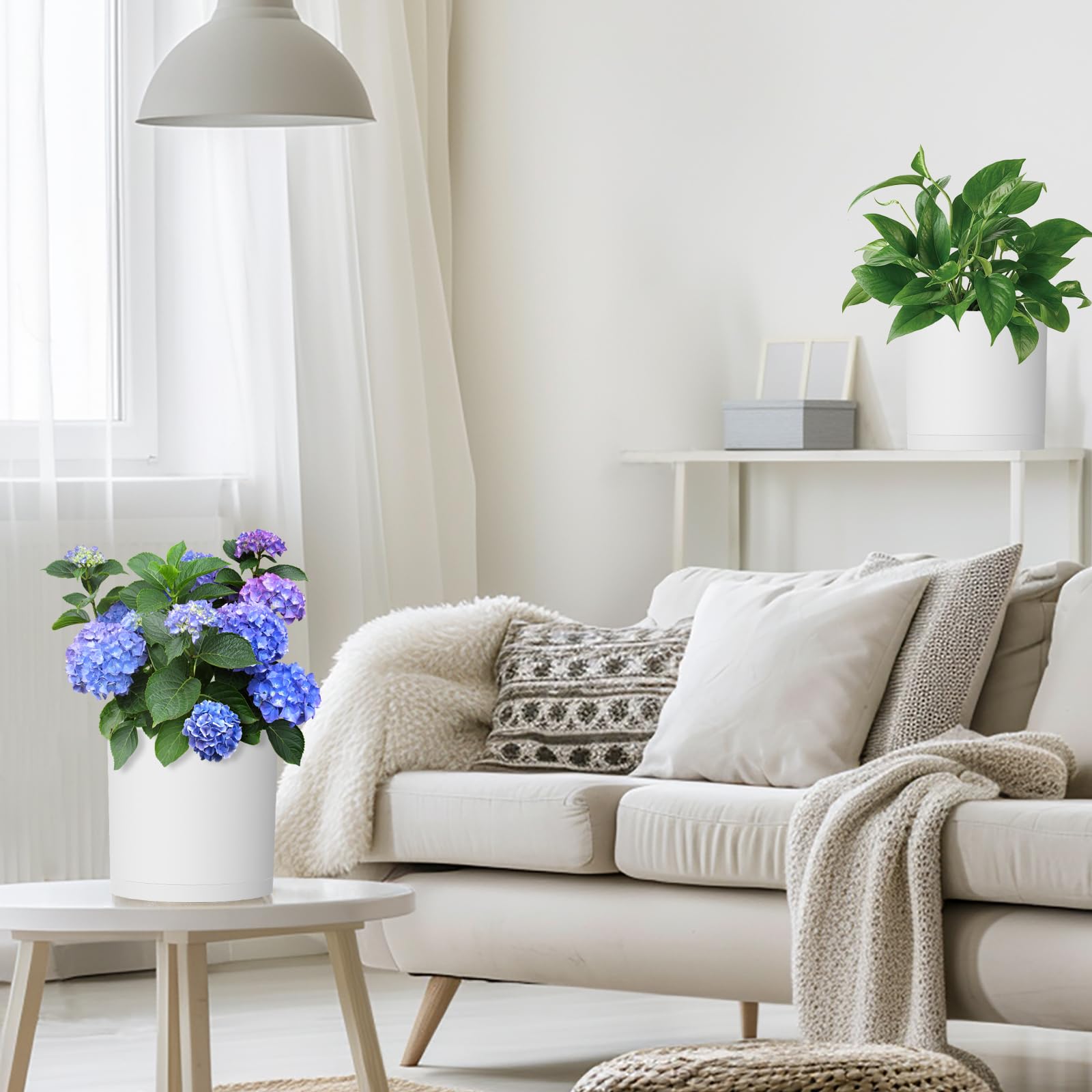 WSMKSZ maceta en ambiente doméstico realzando la decoración