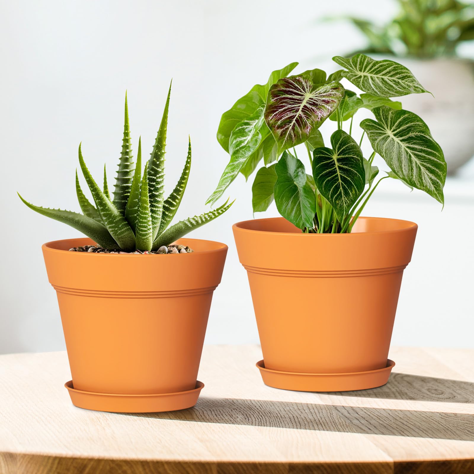 WSMKSZ macetas decoradas por niños, perfectas para proyectos DIY