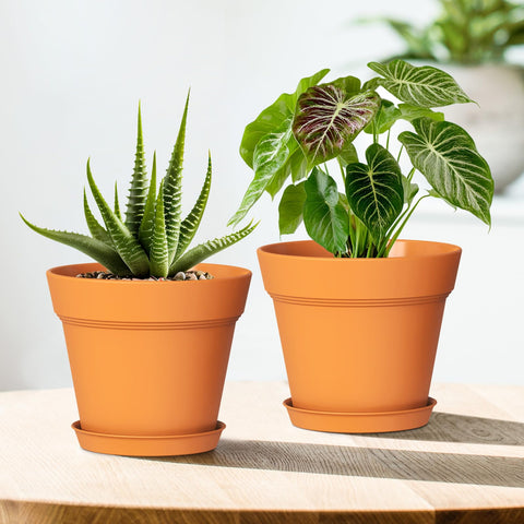 WSMKSZ macetas decoradas por niños, perfectas para proyectos DIY