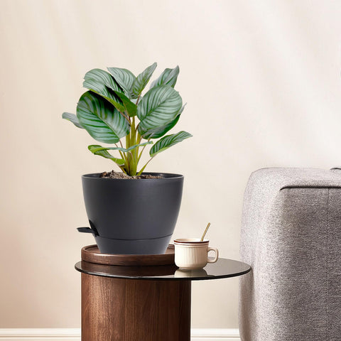 WSMKSZ corte interior del depósito profundo, ahorro de riego
