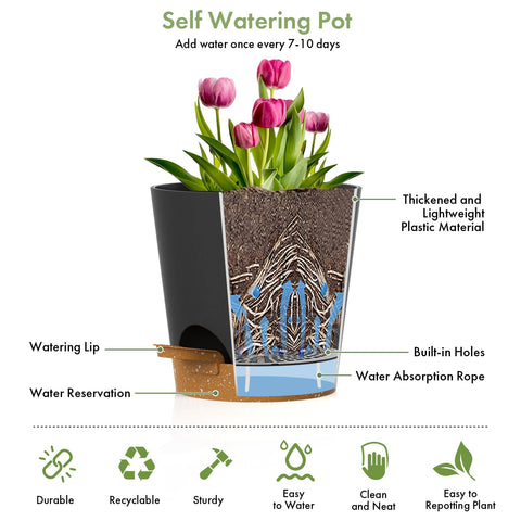 WSMKSZ macetas en alféizar de cocina, ideal para hierbas y plantas de interior