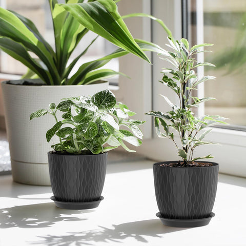 WSMKSZ macetas en ventana estilo doméstico, embellece ambientes pequeños