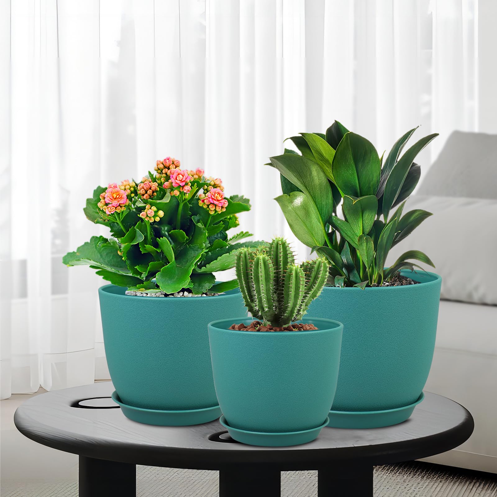 WSMKSZ etiqueta y acabado azul-verde, combinación moderna y funcional