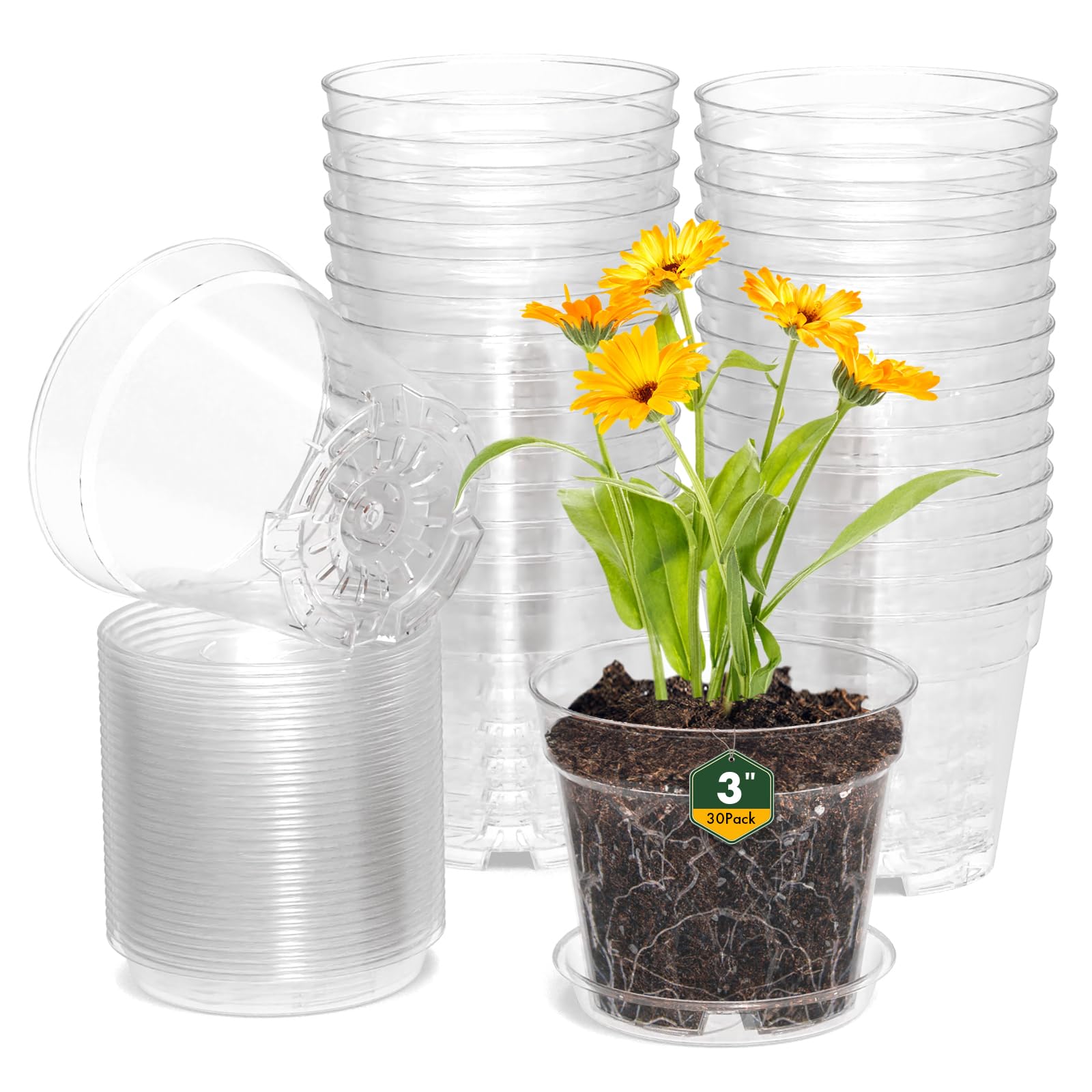 WSMKSZ pack frontal de 30 macetas transparentes muestra variedad y ahorro