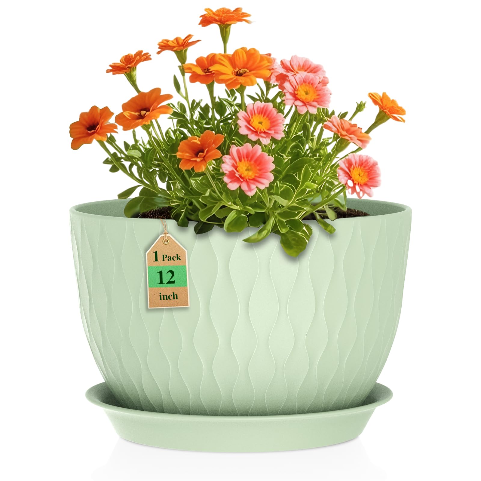 WSMKSZ maceta 12" vista frontal verde elegante y funcional