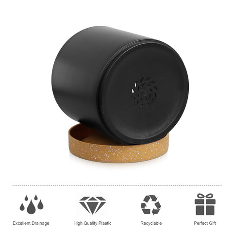 WSMKSZ primer plano maceta 4" ideal para suculentas y esquejes