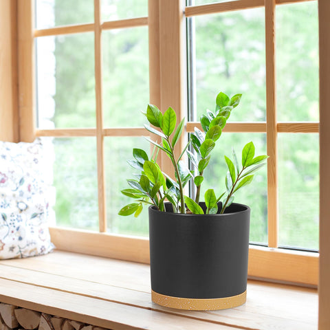 WSMKSZ maceta con planta en sala, mejora la decoración interior